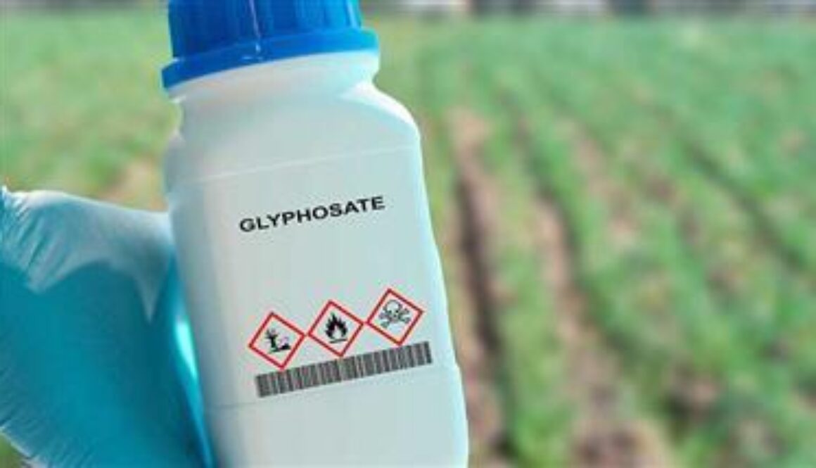 glyphosate-exposure-fatty-liver-disease-thumbnail