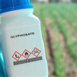 Glyphosate Exposure Linked to Rising Fatty Liver Disease