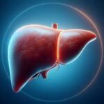 Here’s How Quickly Your Liver Heals When You Stop Drinking