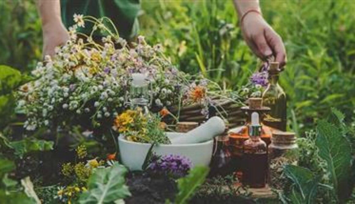 power-of-dmso-and-botanical-combinations