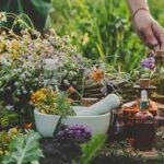 Unlocking Nature’s Healing Potential — The Power of DMSO and Botanical Combinations