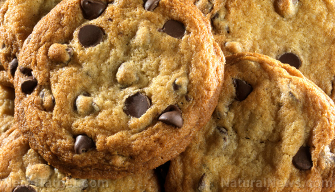 Chocolate-Chip-Cookies-Snack-Food-Junk