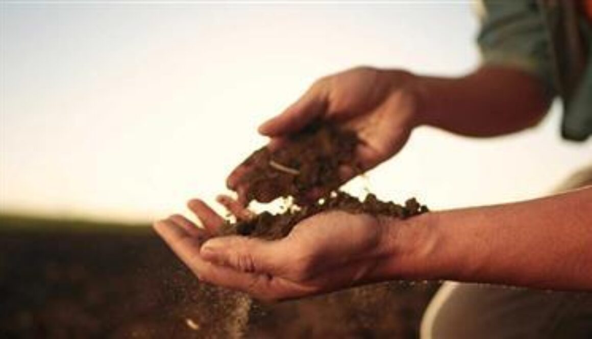 nutrient-depleted-soil-thumb