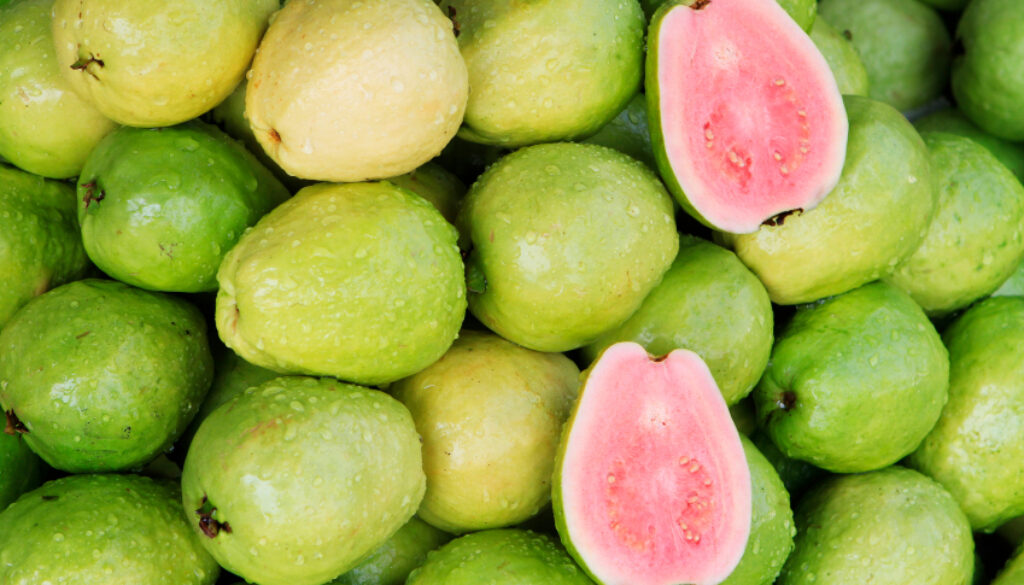 Fresh-Bunch-Guavas-Fruit-1