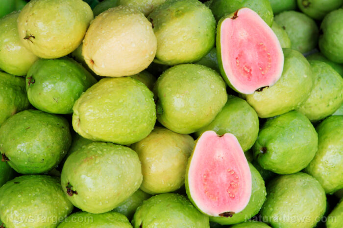 Liver cancer breakthrough as researchers replicate guava’s healing molecules