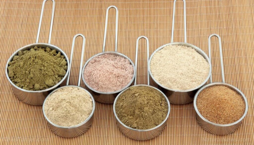 Protein-Supplement-Powders