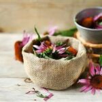 Natural Herbs That Support Your Immune System Against the Flu