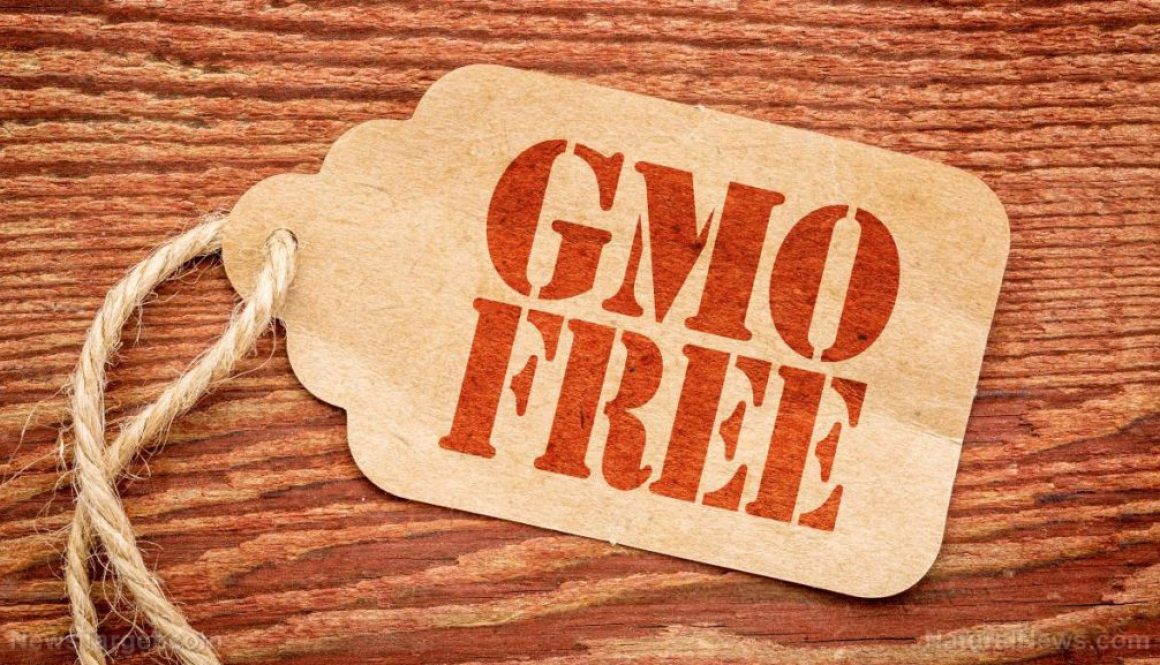 GMO-Free-Sales-Tag-Label