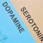 Revisiting Depression — Dopamine-Serotonin Balance Gains Attention for Treatment-Resistant Depression