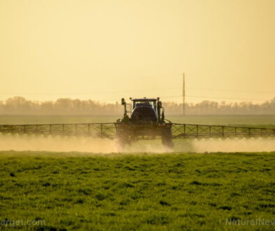 Glyphosate-Herbicide-Wheat-Agricultural-Machinery-Agriculture-Application