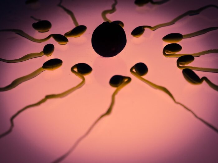 A silent crisis: Chemical pollution linked to plummeting male fertility and rising cancers