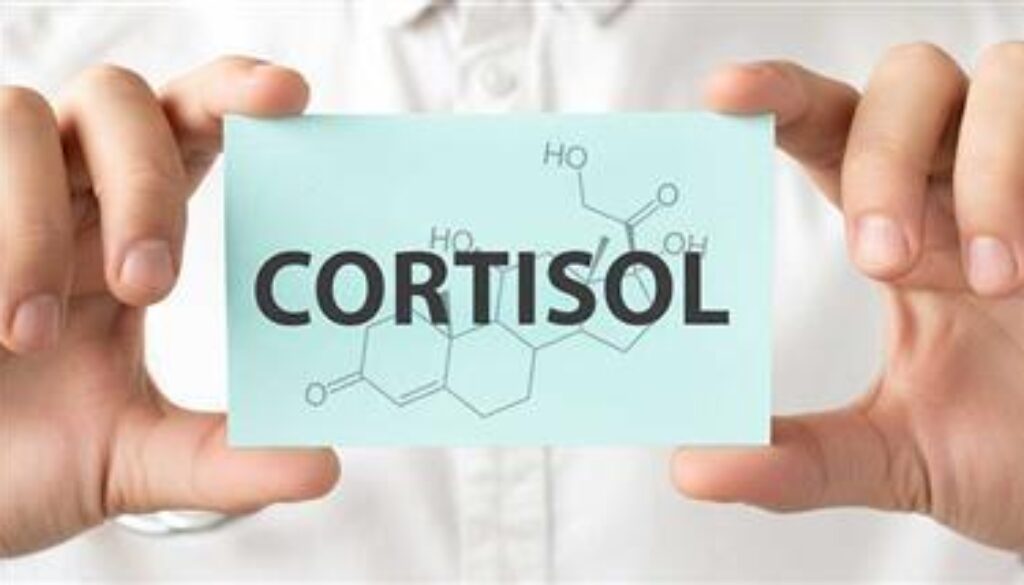 role-of-cortisol-in-alzheimers