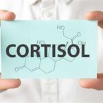 The Surprising Role of Cortisol in Alzheimer’s