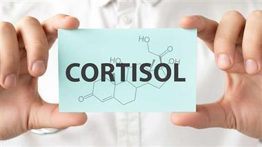 The Surprising Role of Cortisol in Alzheimer’s